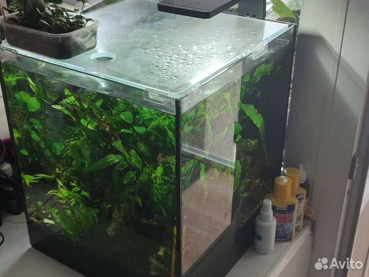Аквариум под ключ