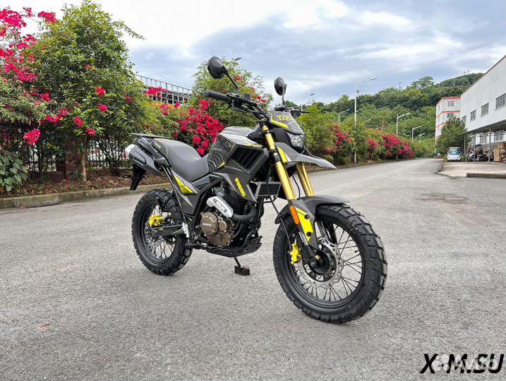 Мотоцикл fuego (Фуэго) Tekken 250 3.0 PRO-sport