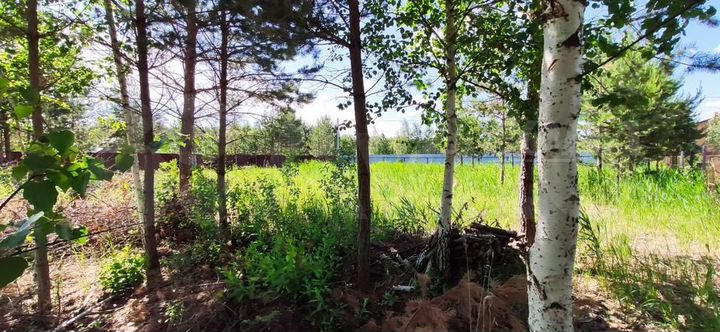 Участок 9,7 сот. (СНТ, ДНП)