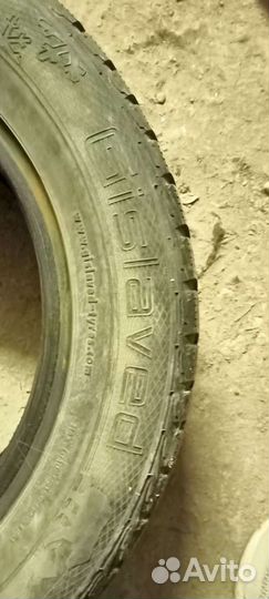 Gislaved Nord Frost 5 185/65 R15