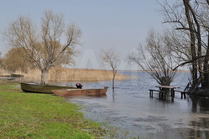 Участок 20 сот. (ИЖС)