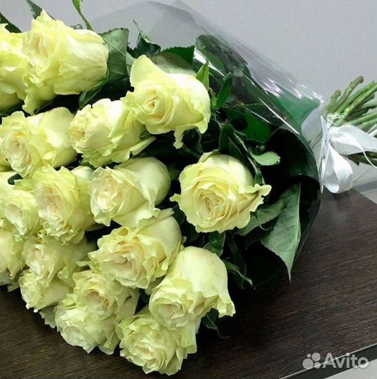 Высокие розы