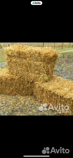 Солома в тюках