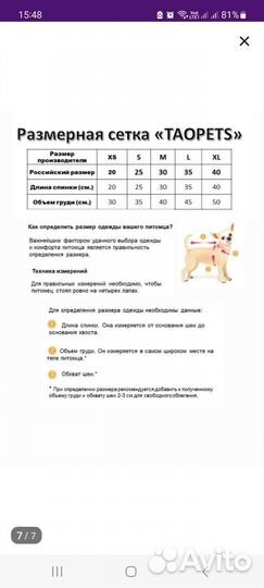 Одежда для маленьких собак