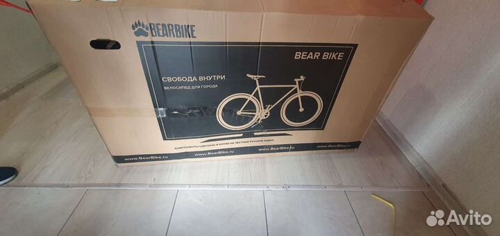 Bear bike Minsk 2021