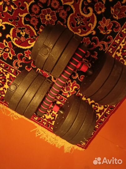 Гантели разборные