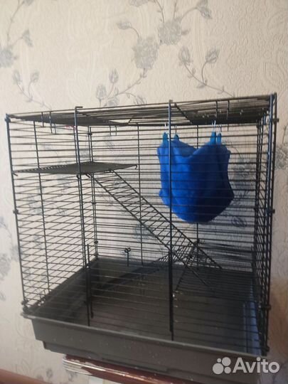 Клетка с крысой