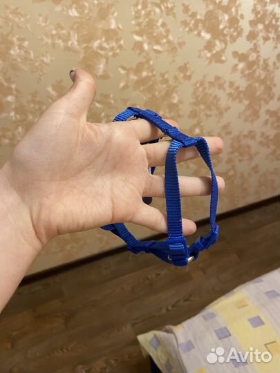 Шлейка для маленькой собаки