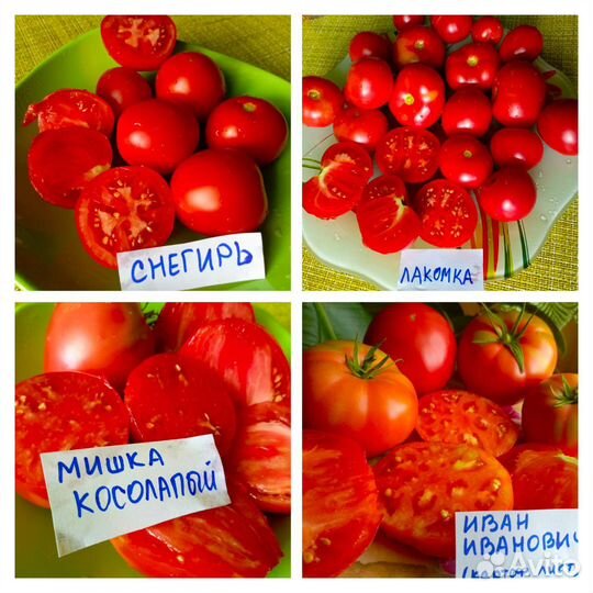Томаты сортовые красные, семена