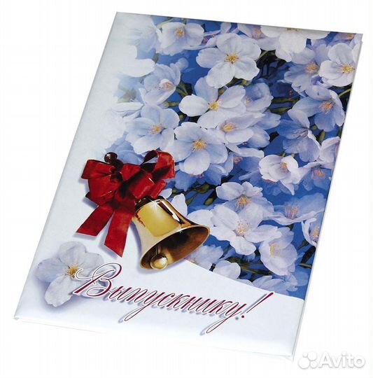 Папки выпускнику