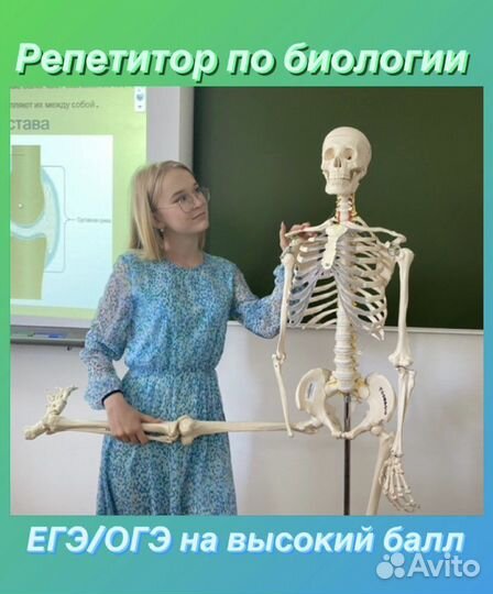 Репетитор по биологии