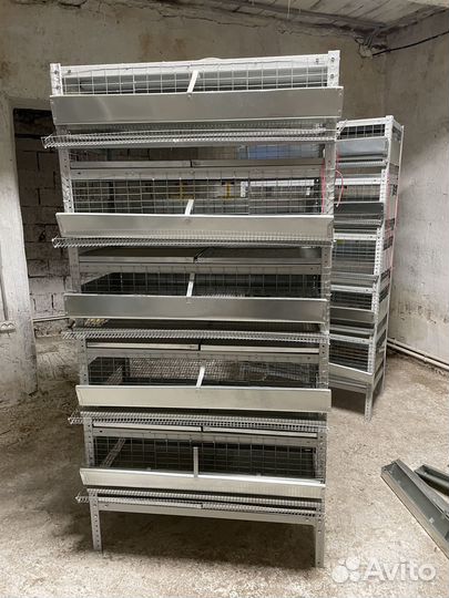 Клетки для перепелов новые