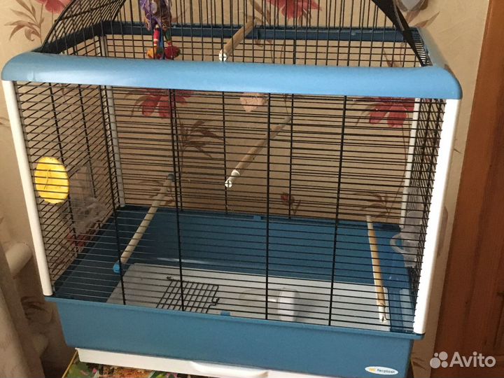 Клетки для животных