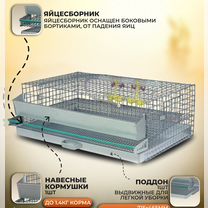 Клетка для перепелов на 30 голов (кп-30), Солнечногорск