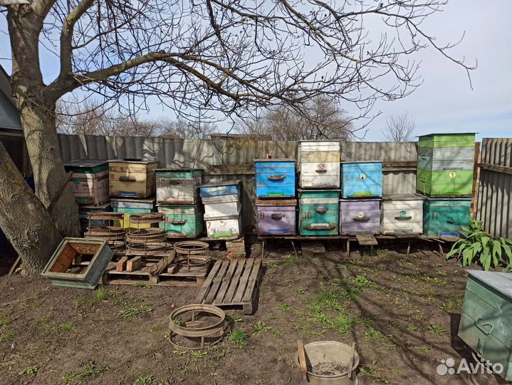 Продается инвентарь для пасеки