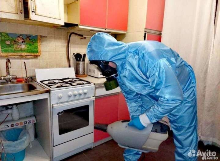 Уничтожение тараканов клопов блох клещей мышей