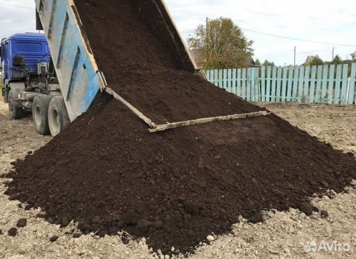 Чернозем (черная земля)