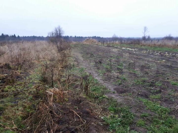 Дом 47 м² на участке 15 сот.