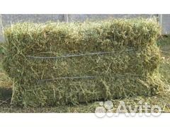 Продам сено