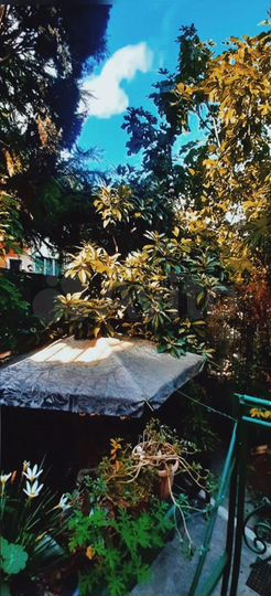 Дом 150 м² на участке 5 сот.