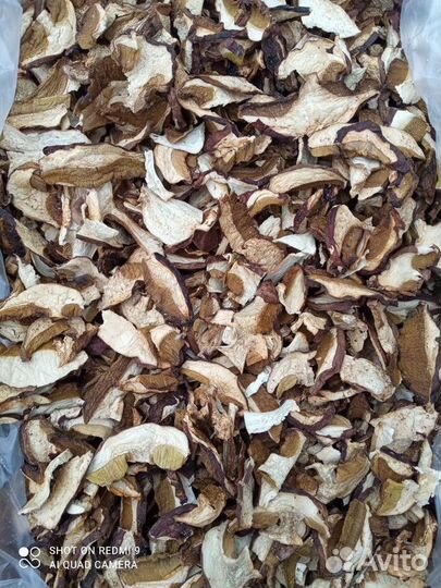Белый сушеный гриб оптом пасечник