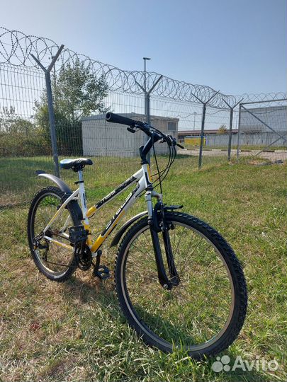 Спортивный велосипед Stels Miss 5000