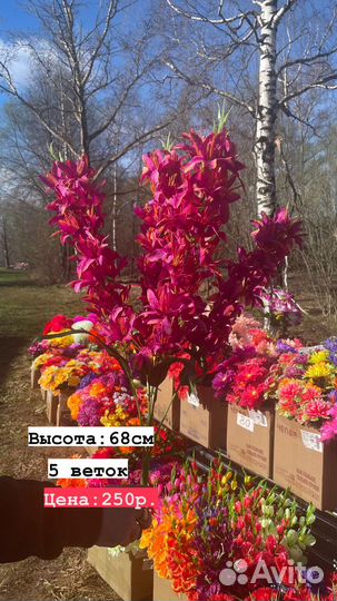 Искусственные цветы