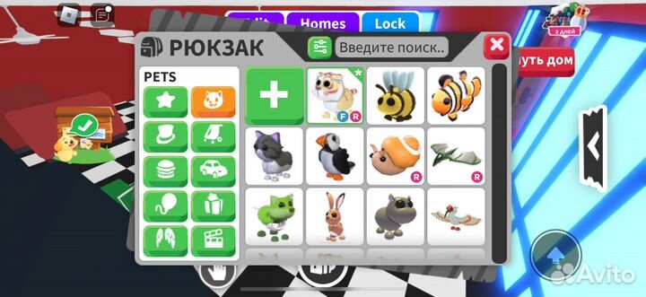 Пэты адопт ми