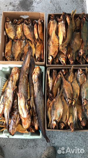 Рыба карась,карп,воблаЖивая рыба, вяленая,Копченая
