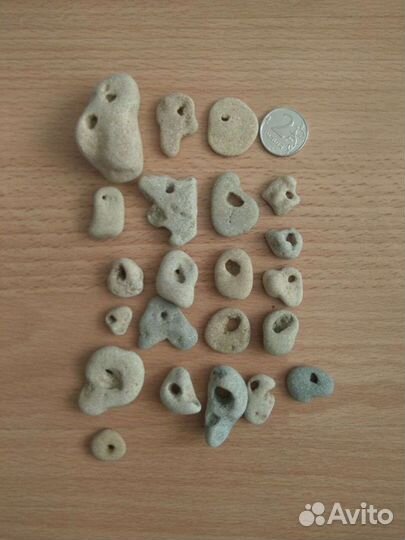 Ракушки и камни с отверстиями дырками поделки