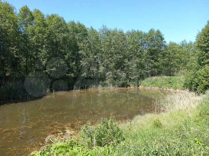 Участок 3,29 га (СНТ, ДНП)