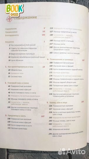 Путеводитель по телу Эндрю Бил 1, 2 часть NEW