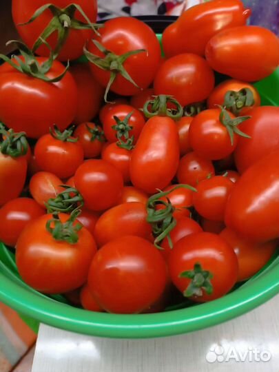 Помидоры свежие домашние