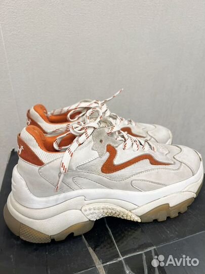 Кроссовки женские Ash