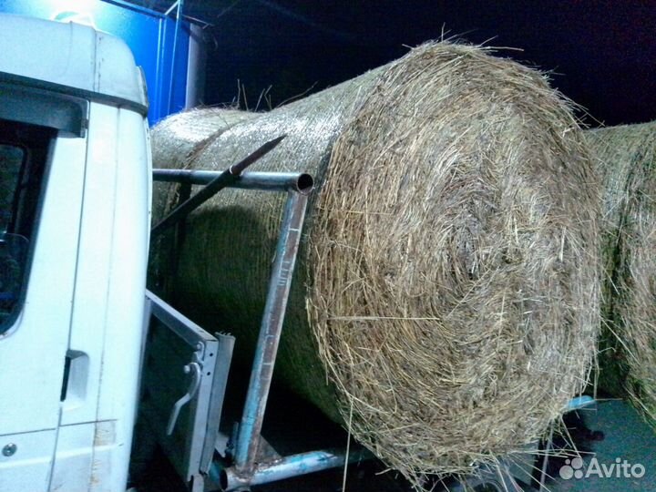 Продам сено в рулонах