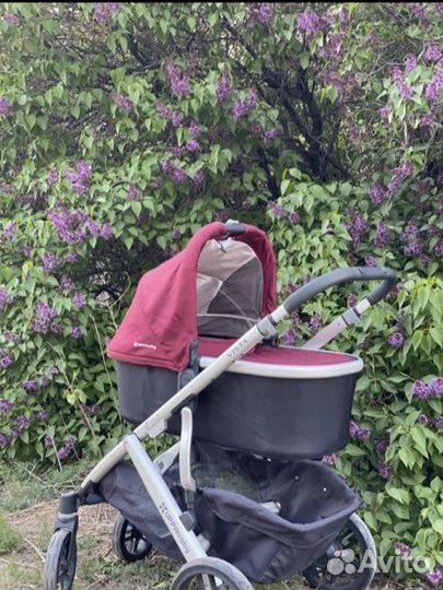 Коляска uppababy vista