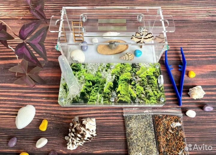 Муравьиная ферма 