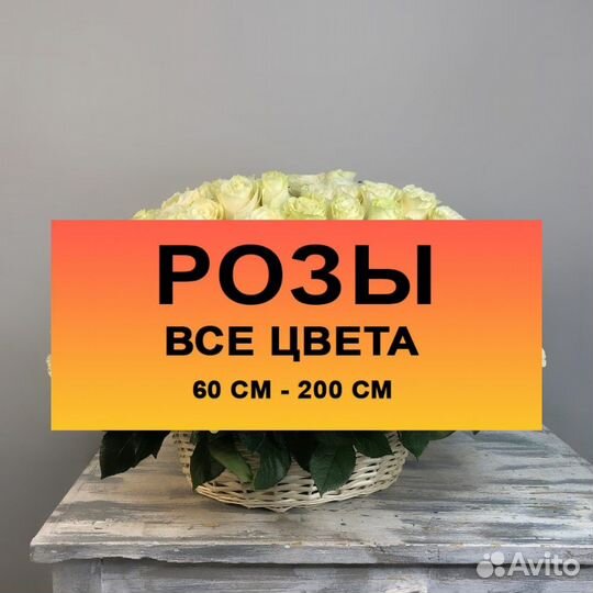 Синие розы в коробке