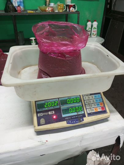 Семена фацелии