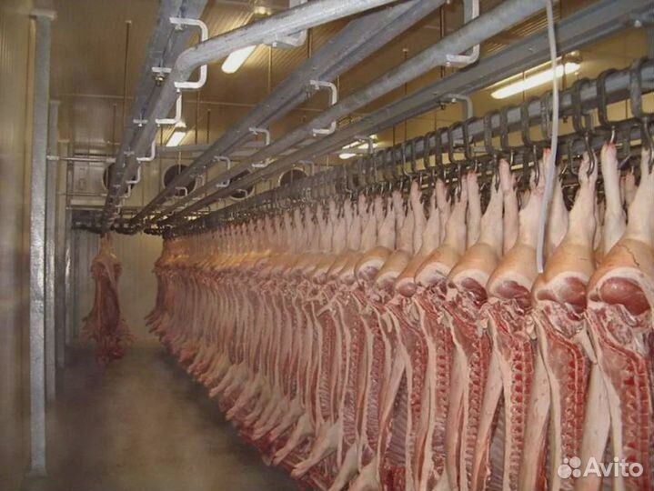 Холодильная камера для мясокомбината