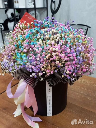 Гипсофила радужная