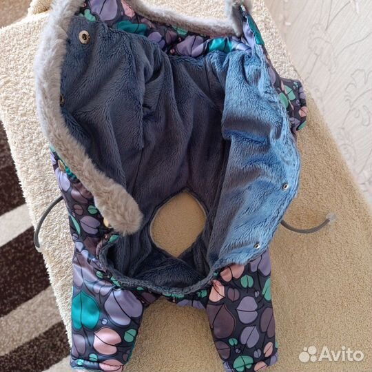 Одежда для собак