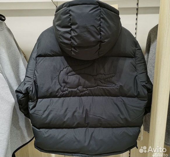 Куртка lacoste padded обмен