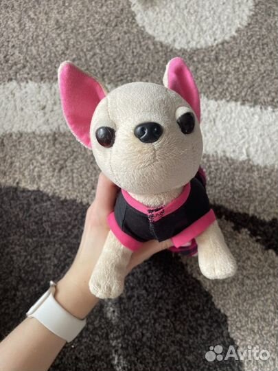 Собачка чичилав