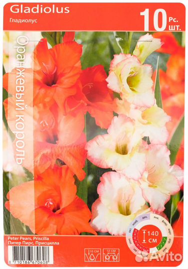 Луковицы Гладиолус Оранжевый микс