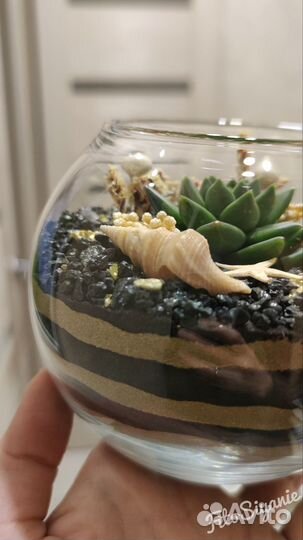 Мини-флорариум с живым растением