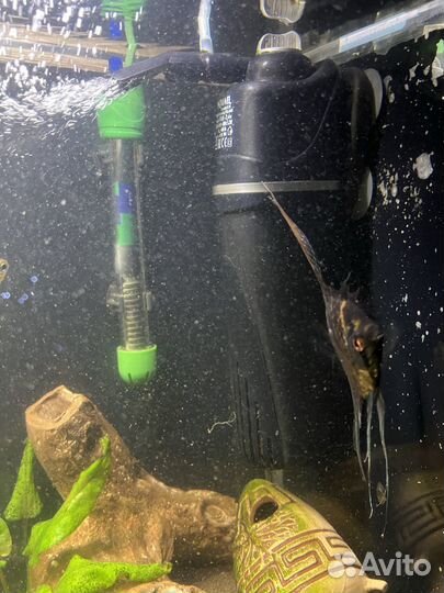 Продам аквариум