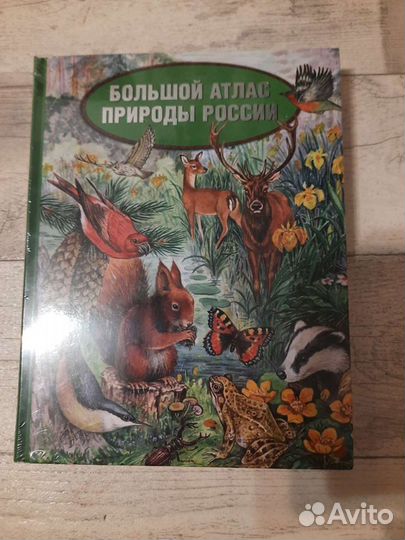 Книги на разные тематики