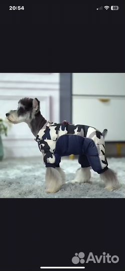 Одежда для собак