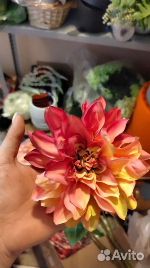 Цветы и головы цветов под заказ